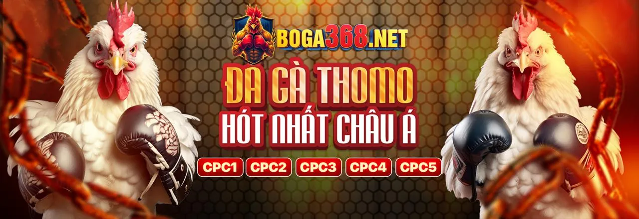 Hình ảnh chính keo88 casino live casino